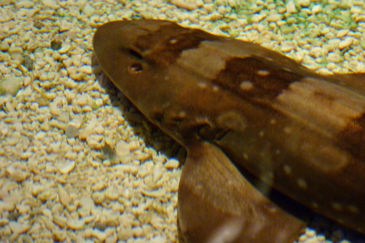 Mystic Aquarium - Gallery Image 3